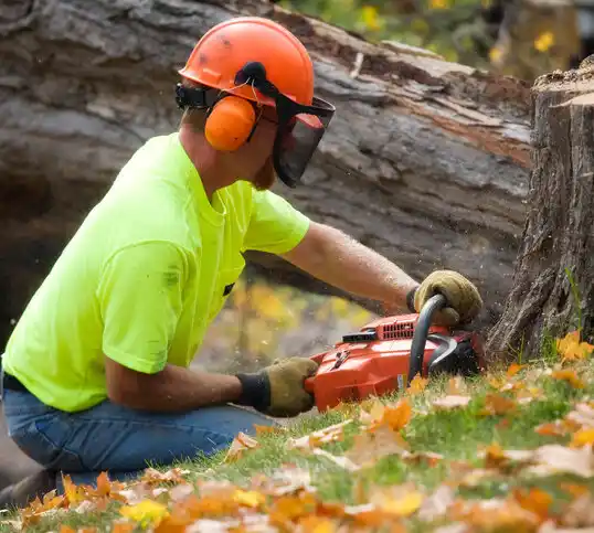 tree services Oronogo